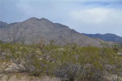 244-06 270 Sundance Rd, Yucca, AZ 86438 photo 17