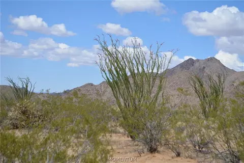 244-06 270 Sundance Rd, Yucca, AZ 86438 photo 7