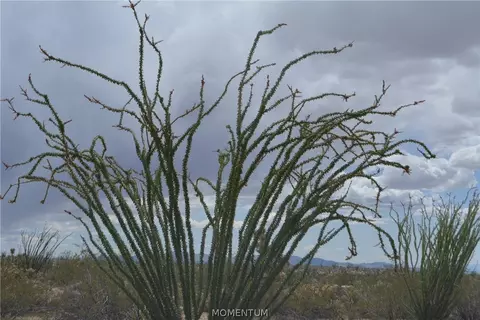 244-06 270 Sundance Rd, Yucca, AZ 86438 photo 27