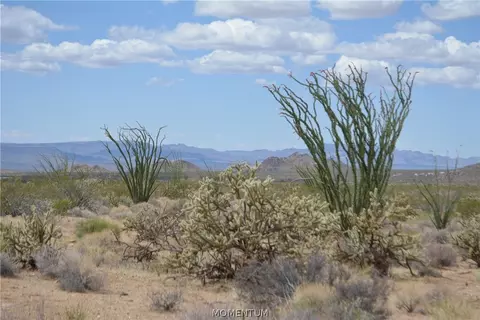 244-06 270 Sundance Rd, Yucca, AZ 86438 photo 26