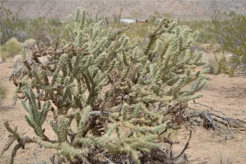 244-06 270 Sundance Rd, Yucca, AZ 86438 photo 25