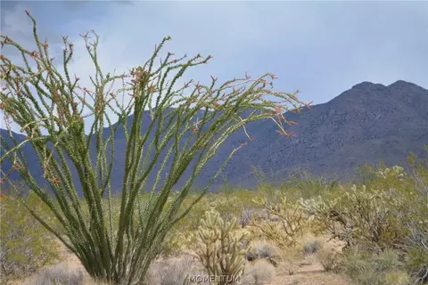 244-06 270 Sundance Rd, Yucca, AZ 86438 photo 44