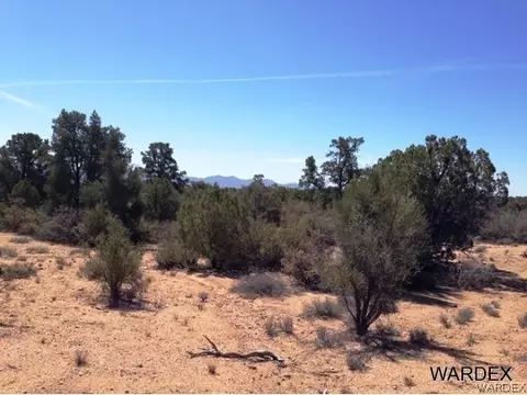 1628 S Rease Rd, Kingman, AZ 86401 photo 20