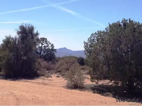 1628 S Rease Rd, Kingman, AZ 86401 photo 16