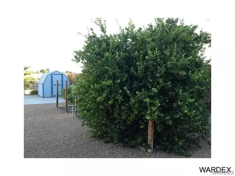 1345 Lillyhill Dr, Needles, CA 92363 photo 6