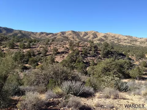 10228 Spring Valley Dr, Hackberry, AZ 86411 photo 23