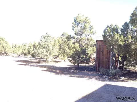 10228 Spring Valley Dr, Hackberry, AZ 86411 photo 29