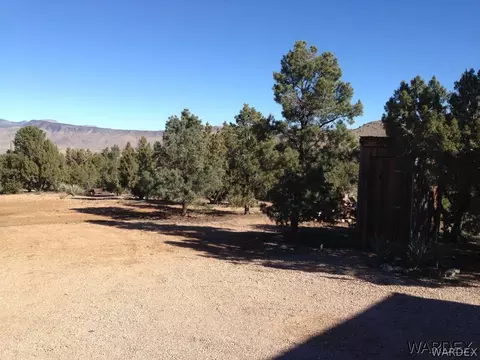 10228 Spring Valley Dr, Hackberry, AZ 86411 photo 30