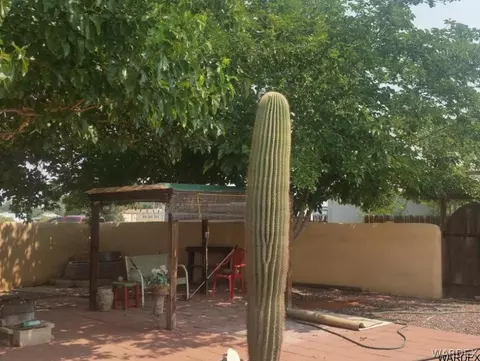 1533 E Devlin Ct, Kingman, AZ 86409 photo 5