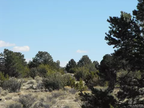 1094 E Broken Wheel Rd, Williams, AZ 86046 photo 14