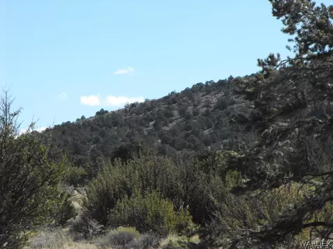 1094 E Broken Wheel Rd, Williams, AZ 86046 photo 15