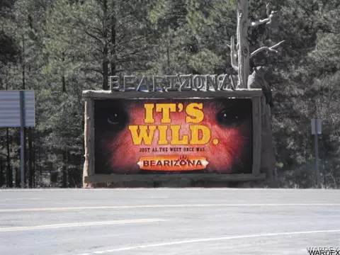 1094 E Broken Wheel Rd, Williams, AZ 86046 photo 32