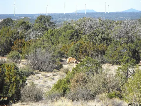 1094 E Broken Wheel Rd, Williams, AZ 86046 photo 7