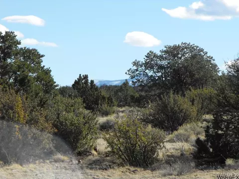 1094 E Broken Wheel Rd, Williams, AZ 86046 photo 8