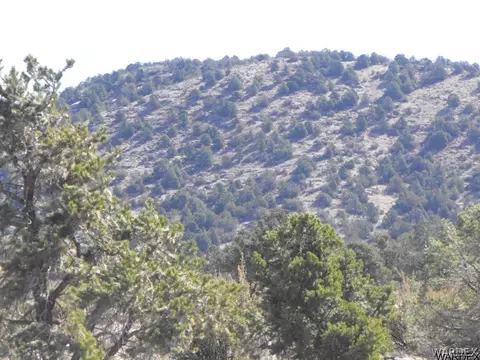1094 E Broken Wheel Rd, Williams, AZ 86046 photo 10