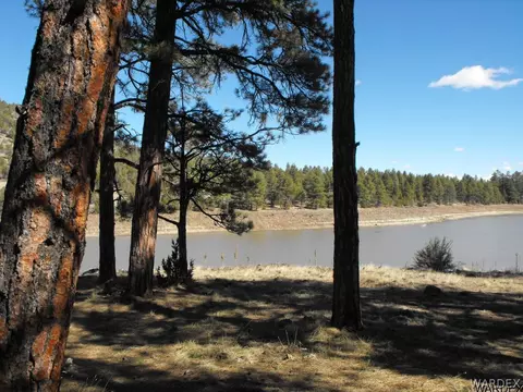1094 E Broken Wheel Rd, Williams, AZ 86046 photo 29