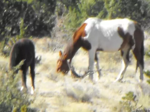 1094 E Broken Wheel Rd, Williams, AZ 86046 photo 2