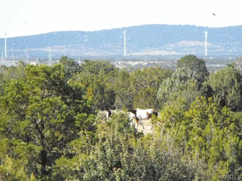 1094 E Broken Wheel Rd, Williams, AZ 86046 photo 4