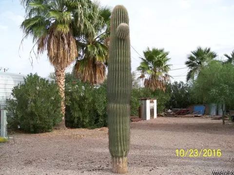 44111 Winter St, Bouse, AZ 85325 photo 6