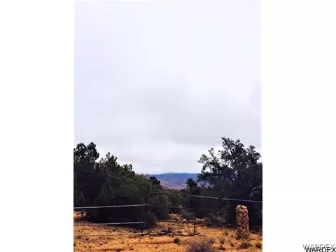 10614 E Pine Valley Dr, Hackberry, AZ 86411 photo 1