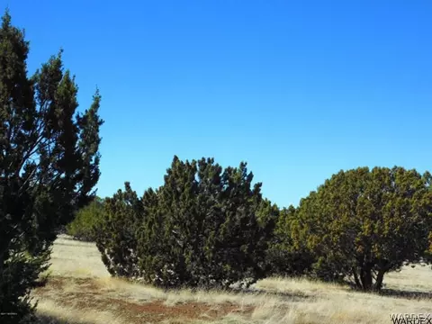 2054 W Honeysuckle Rd, Williams, AZ 86046 photo 27
