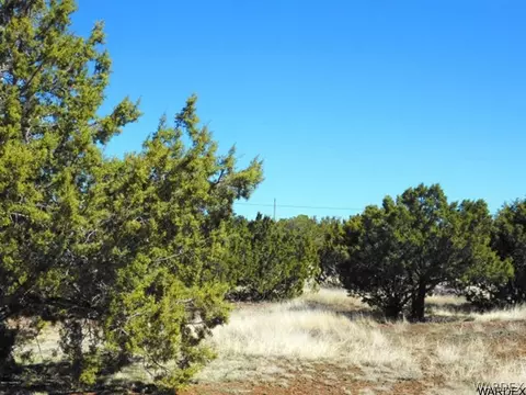 2054 W Honeysuckle Rd, Williams, AZ 86046 photo 28