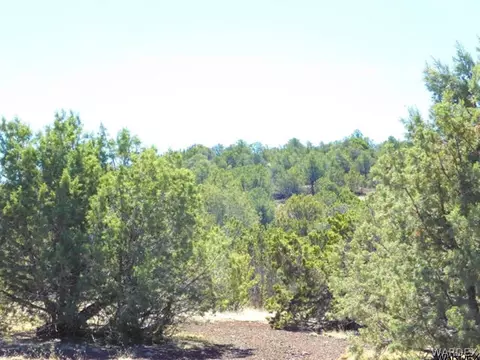 2054 W Honeysuckle Rd, Williams, AZ 86046 photo 22