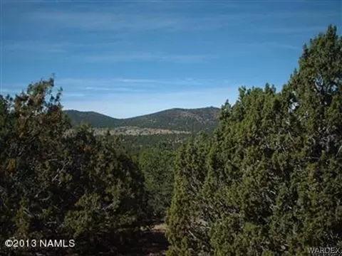 802 E Long Point Vis, Williams, AZ 86046 photo 2