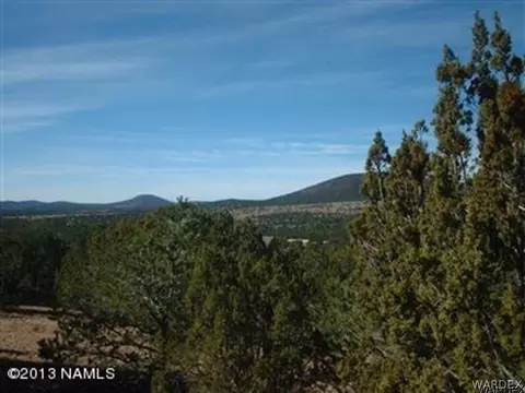 802 E Long Point Vis, Williams, AZ 86046 photo 4