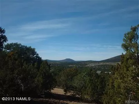 802 E Long Point Vis, Williams, AZ 86046 photo 3