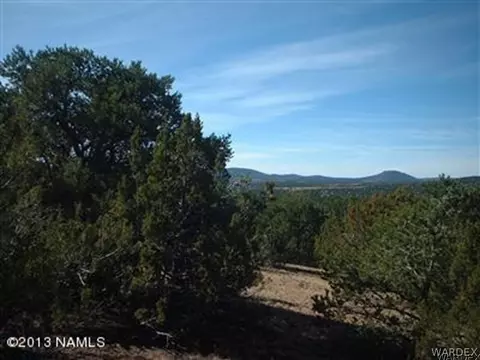 802 E Long Point Vis, Williams, AZ 86046 photo 1