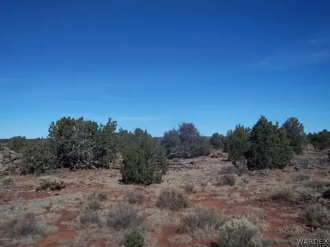 5572 E Lasso Loop Rd, Williams, AZ 86046 photo 2
