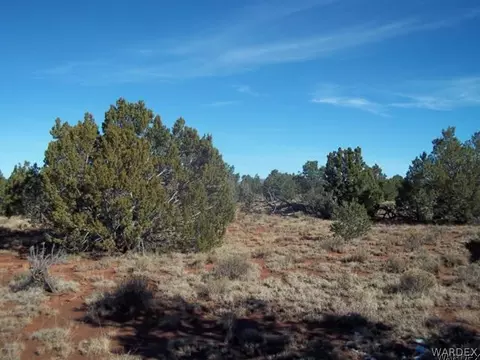 5572 E Lasso Loop Rd, Williams, AZ 86046 photo 5