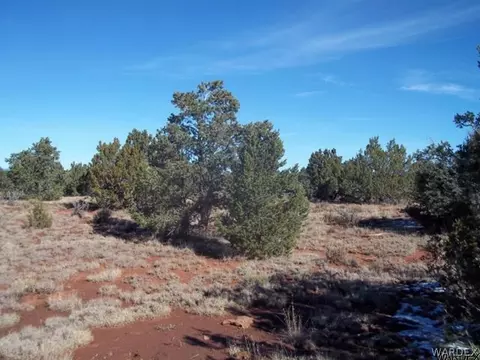 5572 E Lasso Loop Rd, Williams, AZ 86046 photo 4