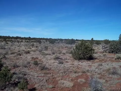 5572 E Lasso Loop Rd, Williams, AZ 86046 photo 3