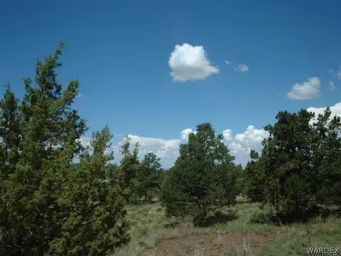 7248 N Apache Ave, Williams, AZ 86046 photo 2