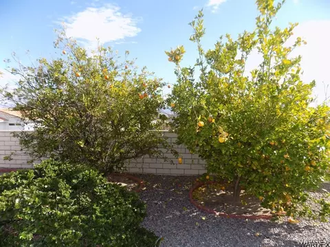 3304 Cactus Springs Dr, Laughlin, NV 89029 photo 22