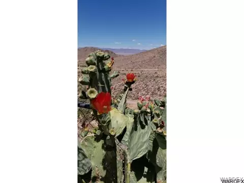 1948 E Falcon Valley Rd, Kingman, AZ 86409 photo 12