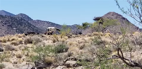 1948 E Falcon Valley Rd, Kingman, AZ 86409 photo 35