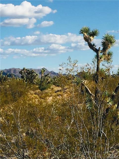 2363 S Goldmine Rd, Yucca, AZ 86438