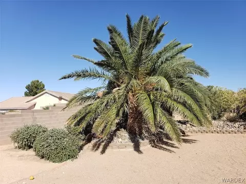 2832 Cimarron Dr, Kingman, AZ 86401 photo 44