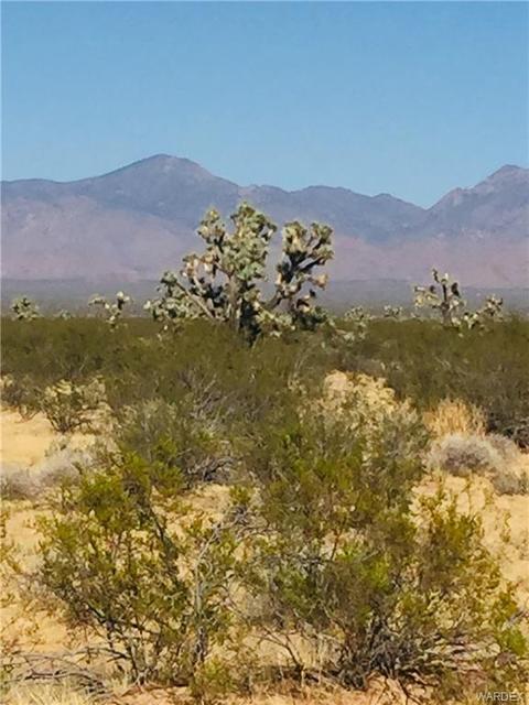069 E Mesquite Dr, Yucca, AZ 86438