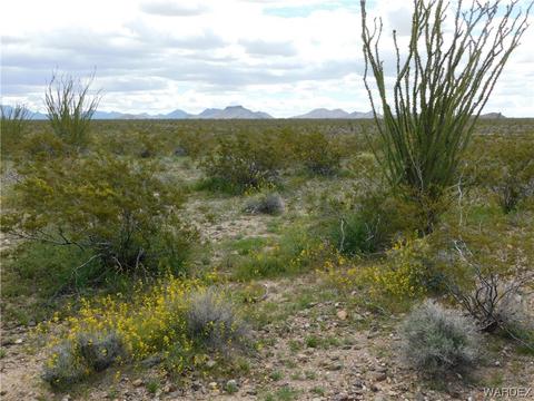 000 S Roll Rd, Yucca, AZ 86438