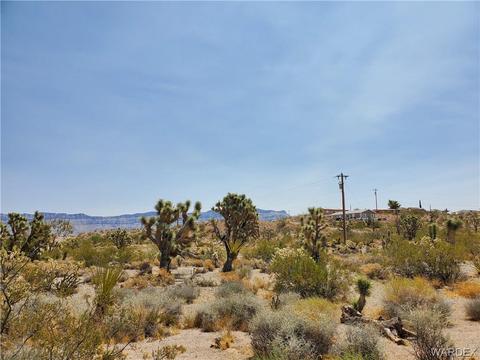 570 W Queen Tut Dr, Meadview, AZ 86444