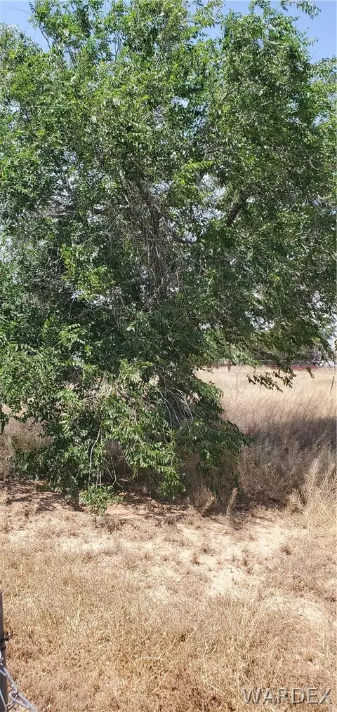 3105 E Mcvicar Ave, Kingman, AZ 86409 photo 2