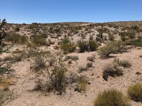 1065 E Dellenbaugh Dr, Meadview, AZ 86444 photo 9