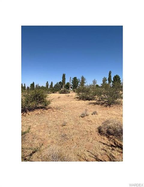 7891 E Saddleback Dr, Kingman, AZ 86401 photo 1