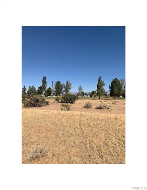 7891 E Saddleback Dr, Kingman, AZ 86401 photo 2