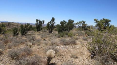 0000 Lawman Dr, Kingman, AZ 86401