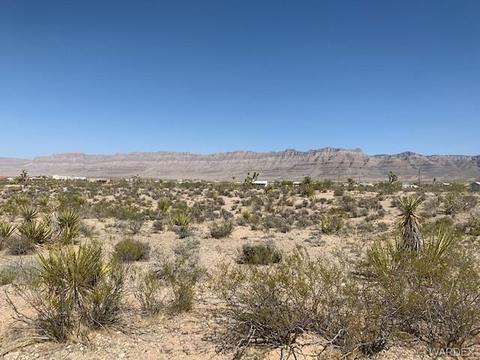 1353 W Overton Dr, Meadview, AZ 86444
